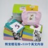 Card Early Education Device 2